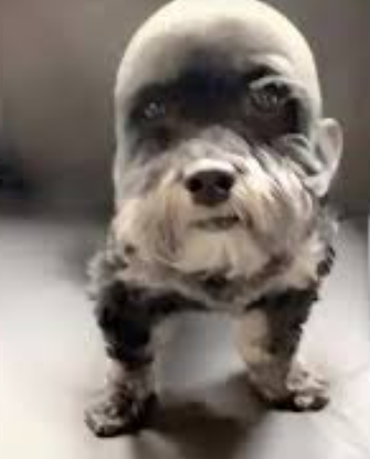 Capture Decran 2026 03 12 191511